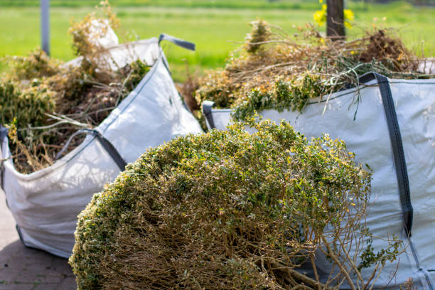 Best Household Junk Removal  in Gosnell, AR